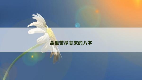 命里苦尽甘来的八字
