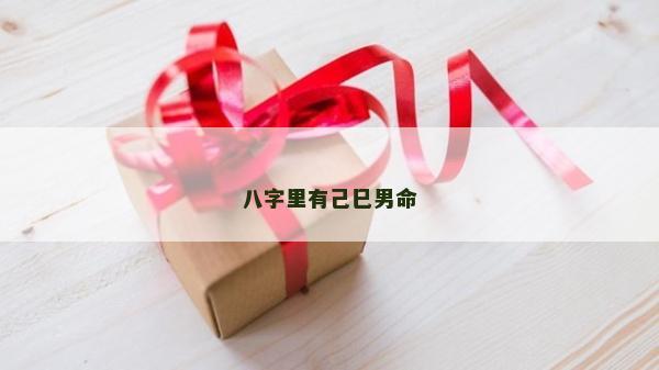 八字里有己巳男命
