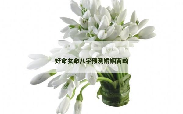 好命女命八字预测婚姻吉凶