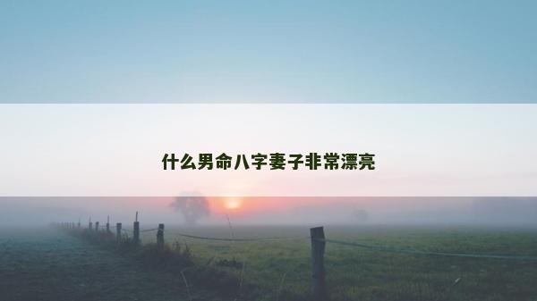 什么男命八字妻子非常漂亮