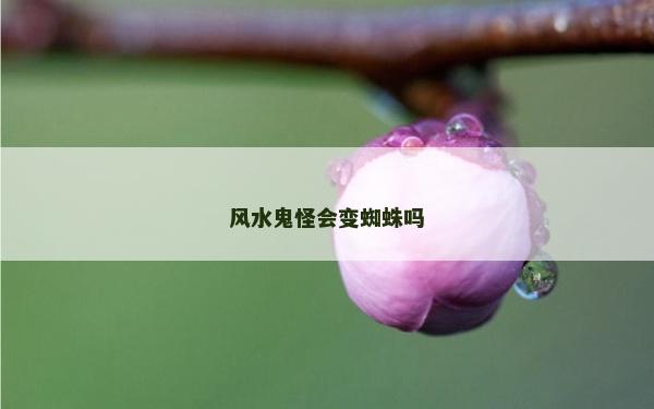 风水鬼怪会变蜘蛛吗