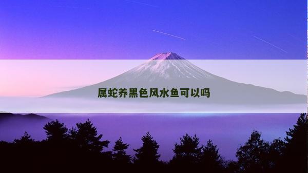 属蛇养黑色风水鱼可以吗