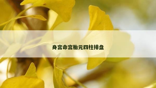 身宫命宫胎元四柱排盘