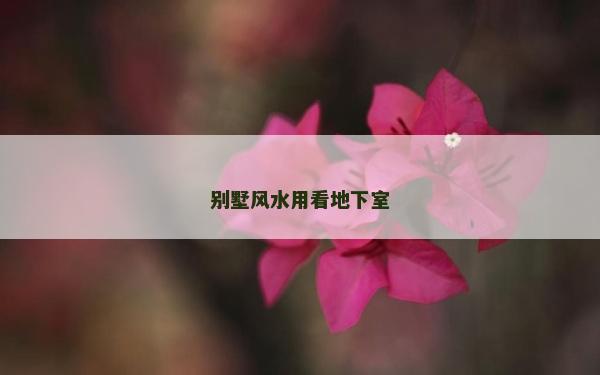 别墅风水用看地下室