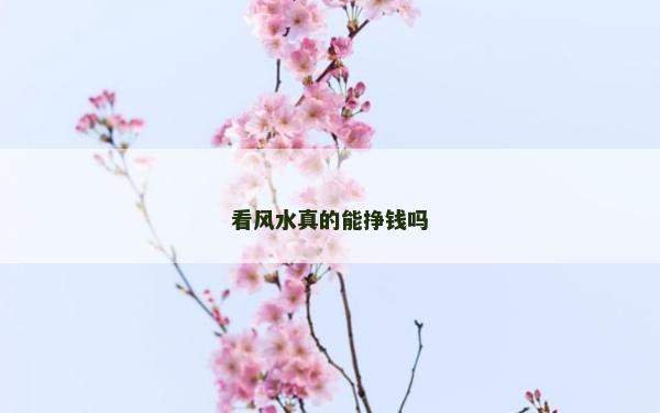 看风水真的能挣钱吗