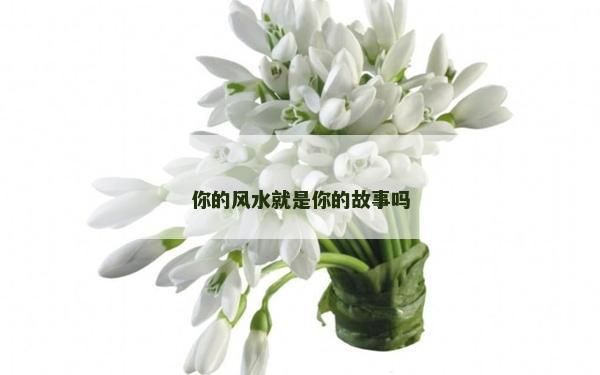 你的风水就是你的故事吗