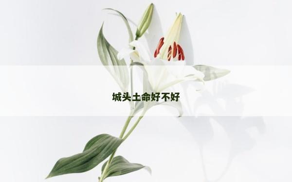 城头土命好不好