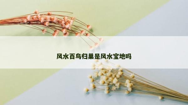 风水百鸟归巢是风水宝地吗