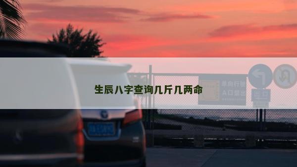 生辰八字查询几斤几两命