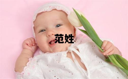 范姓有创意的男孩名字,取什么名字好