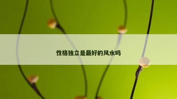 性格独立是最好的风水吗