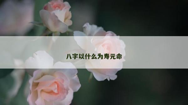 八字以什么为寿元命