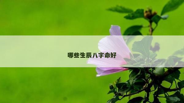 哪些生辰八字命好