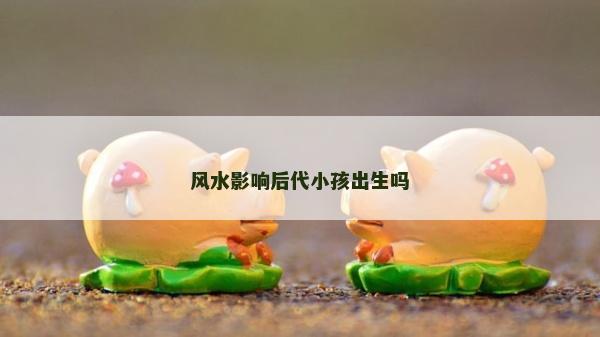 风水影响后代小孩出生吗
