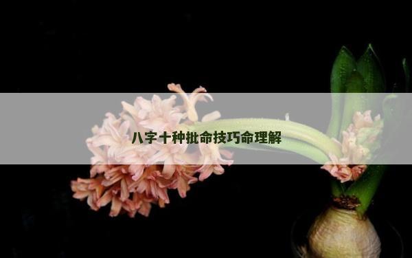 八字十种批命技巧命理解