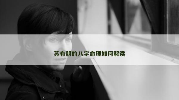 苏有朋的八字命理如何解读