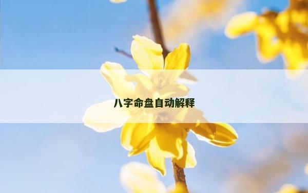 八字命盘自动解释