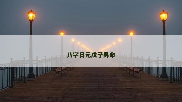 八字日元戊子男命