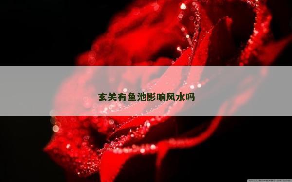 玄关有鱼池影响风水吗
