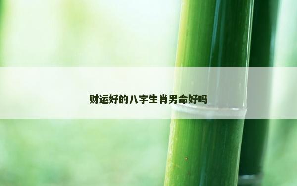 财运好的八字生肖男命好吗