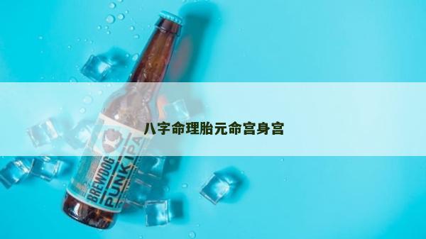 八字命理胎元命宫身宫