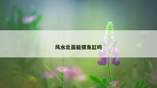 风水北面能摆鱼缸吗