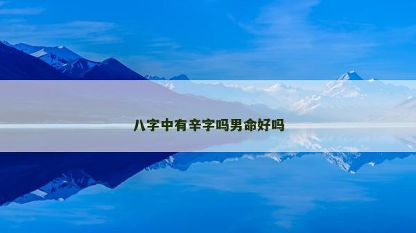 八字中有辛字吗男命好吗