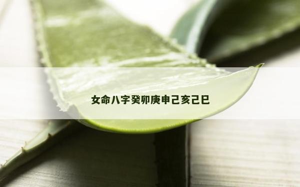 女命八字癸卯庚申己亥己巳