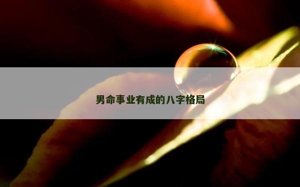 男命事业有成的八字格局