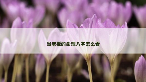 当老板的命理八字怎么看