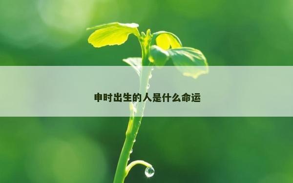 申时出生的人是什么命运
