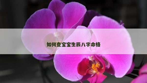 如何查宝宝生辰八字命格