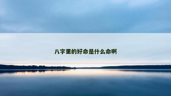 八字里的好命是什么命啊