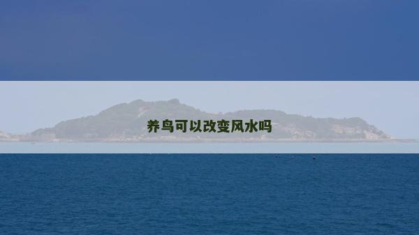 养鸟可以改变风水吗