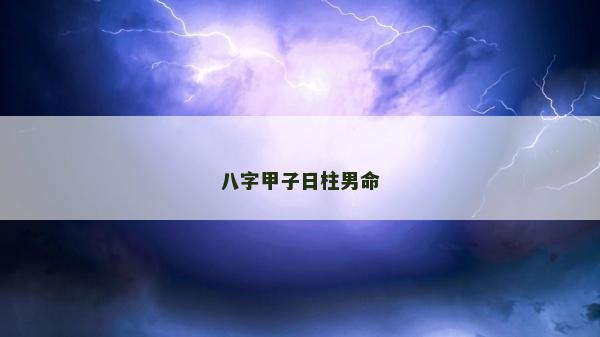 八字甲子日柱男命