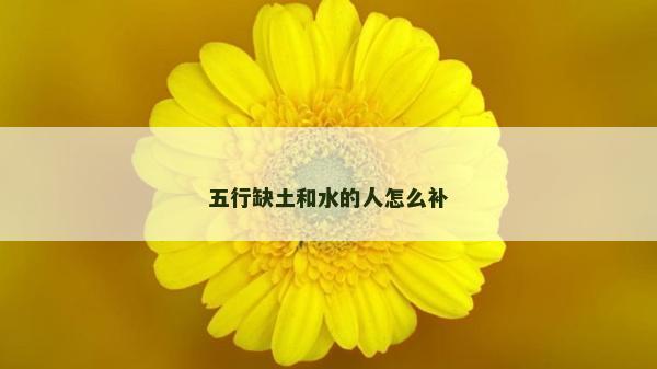 五行缺土和水的人怎么补
