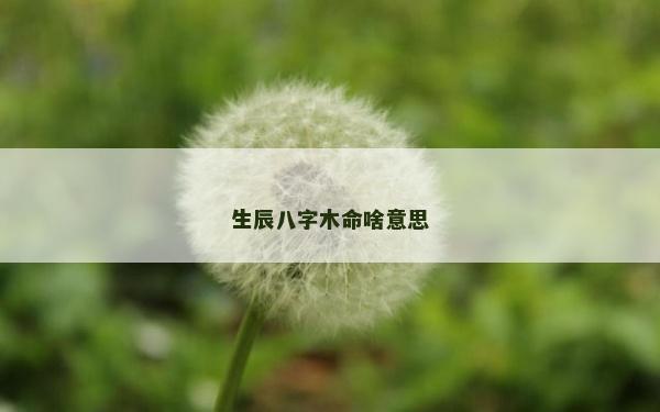 生辰八字木命啥意思
