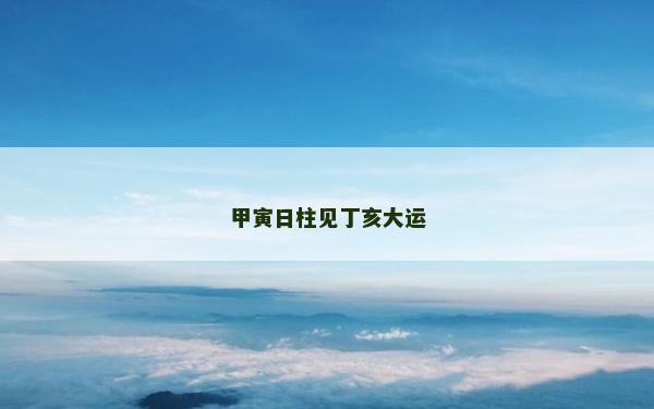甲寅日柱见丁亥大运