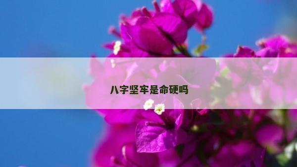 八字坚牢是命硬吗