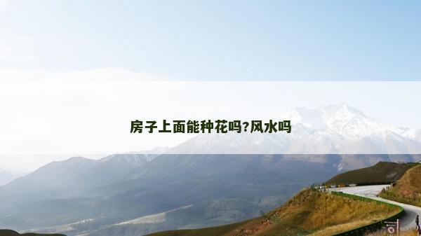 房子上面能种花吗?风水吗