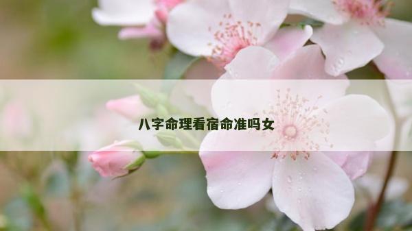 八字命理看宿命准吗女