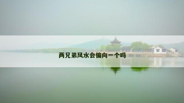 两兄弟风水会偏向一个吗