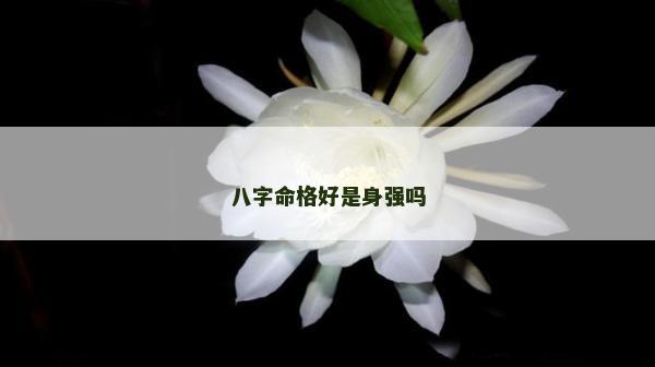 八字命格好是身强吗