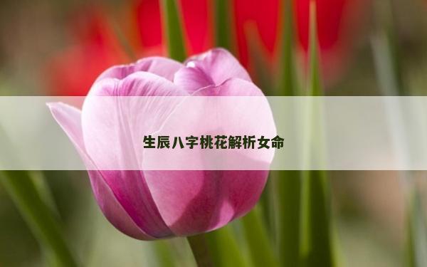 生辰八字桃花解析女命