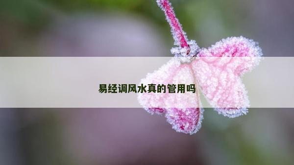 易经调风水真的管用吗