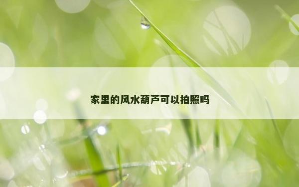 家里的风水葫芦可以拍照吗