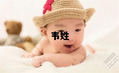 韦姓取名洋气的男宝宝名字
