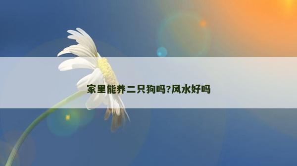 家里能养二只狗吗?风水好吗