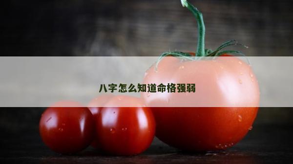 八字怎么知道命格强弱