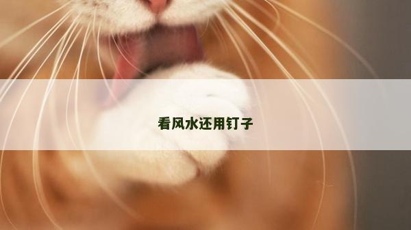 看风水还用钉子